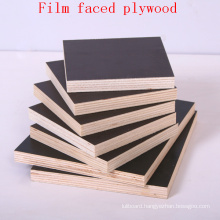 Black Film Faced Plywood / Shuttering Plywood / Marine Plywood
